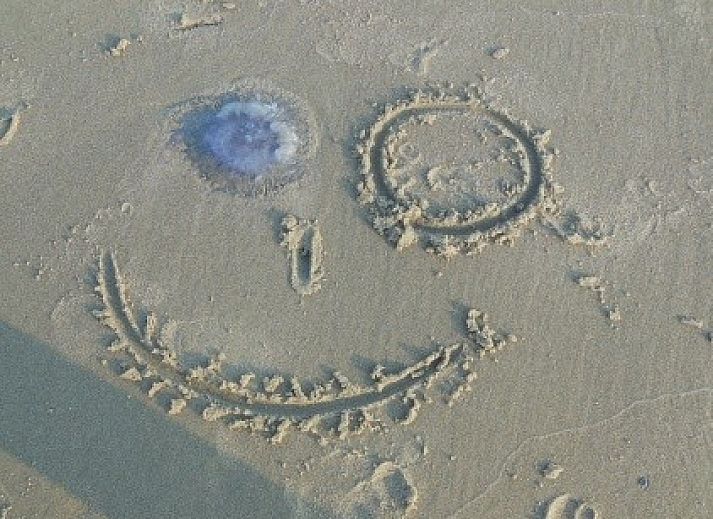 Stilvolle Sitzecke im Ferienhaus Vebenabos 43a in Vlissingen, Walcheren.