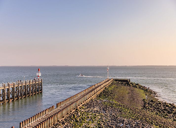 Guest house 6205101 - Holiday property Walcheren - Noordzee Resort Vlissingen 3