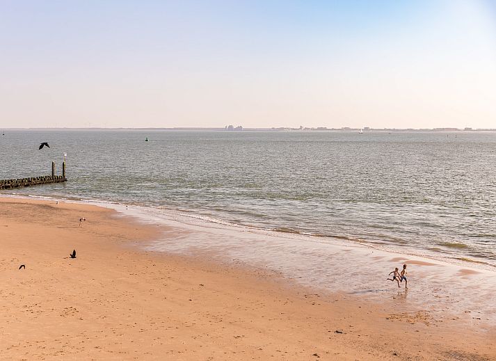 Guest house 6205101 - Holiday property Walcheren - Noordzee Resort Vlissingen 3
