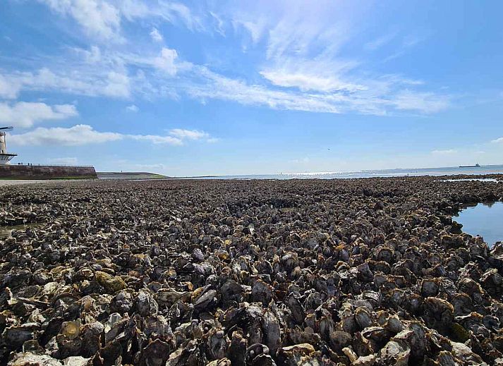 Gemuetliches Wohnzimmer im Ferienhaus ZE1260, Vlissingen, Walcheren mit komfortabler Sitzecke.