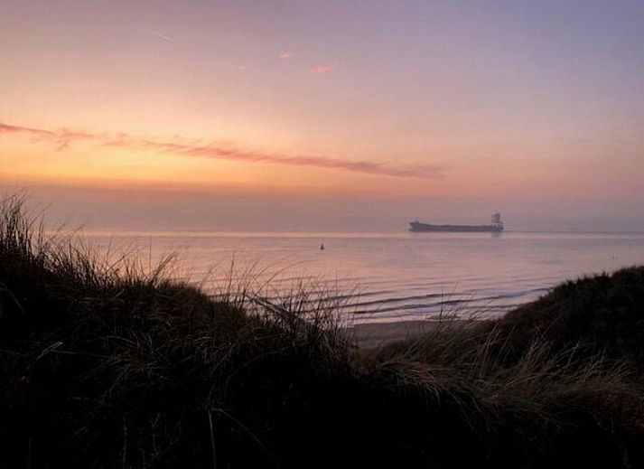 Garten auf der Terrasse des Ferienhauses VZ1123 in Vlissingen, Walcheren, Zeeland fuer ein entspanntes Leben im Freien.