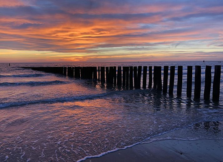 Garten auf der Terrasse des Ferienhauses VZ1123 in Vlissingen, Walcheren, Zeeland fuer ein entspanntes Leben im Freien.