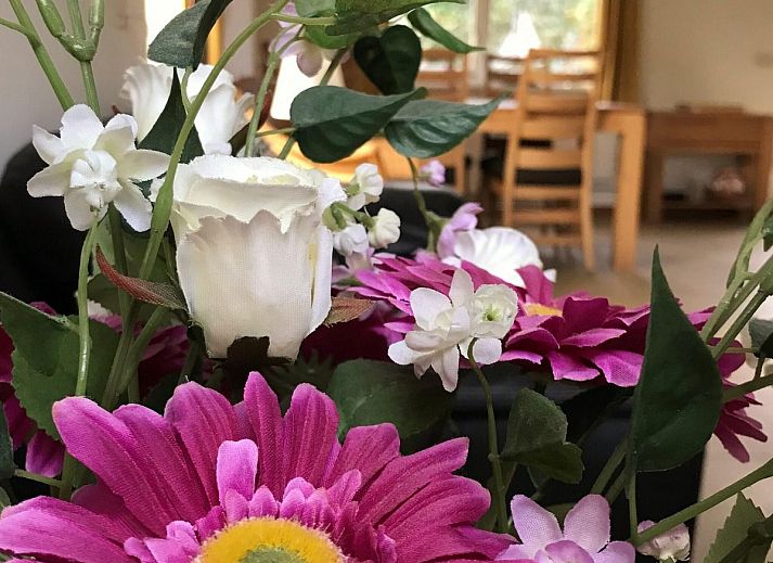 Helles Wohnzimmer des Ferienhauses VZ1123 in Vlissingen, Walcheren, Zeeland mit bequemen Sofas.