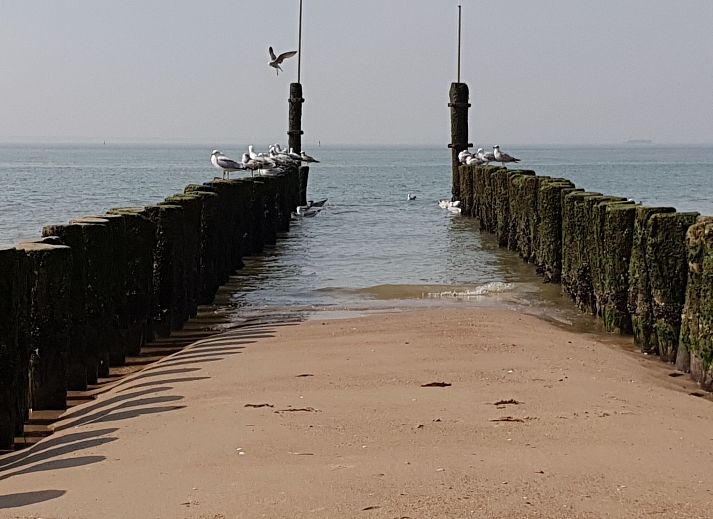 Guest house 620527 - Holiday property Walcheren - Vakantiehuis Havenzicht National Monument