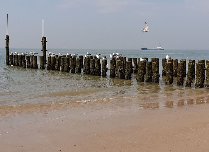 Guest house 620527 - Holiday property Walcheren - Vakantiehuis Havenzicht National Monument