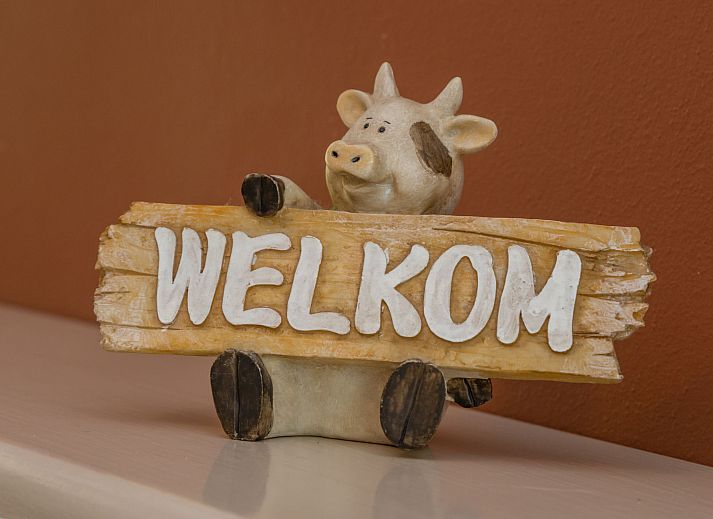 Verblijf 620534 - Vakantiewoning Walcheren - Vakantiehuis Duingras