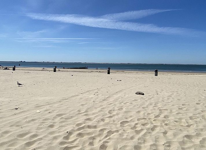 Guest house 620576 - Holiday property Walcheren - VZ676 Beachroom Vlissingen 4p