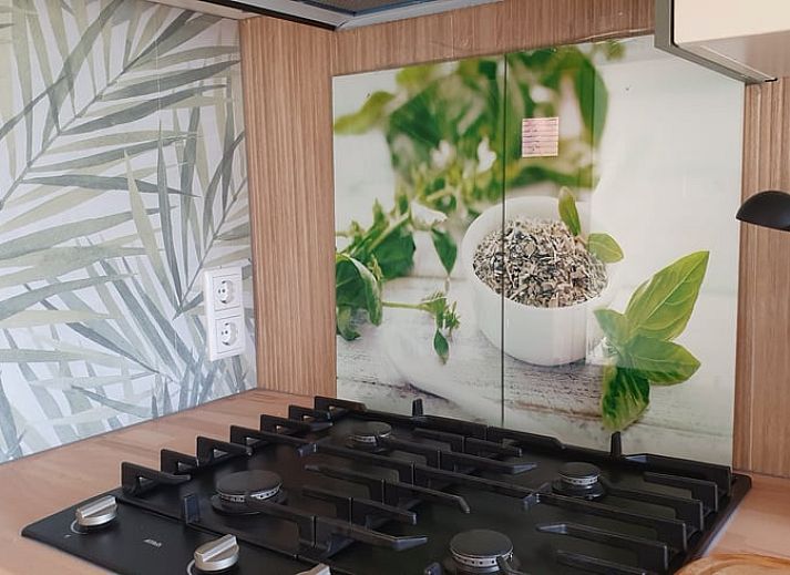 Natuurlijke wandelpaden rondom Vakantiehuisje in Vlissingen, perfect voor een rustgevende vakantie in Zeeland.