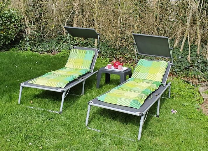 Natuurlijke wandelpaden rondom Vakantiehuisje in Vlissingen, perfect voor een rustgevende vakantie in Zeeland.