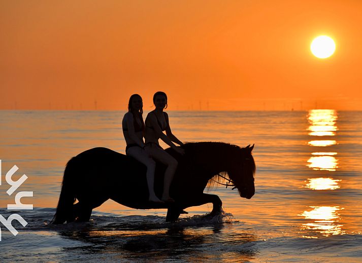 Gezellige woonkamer in vakantiehuis ZE1445, Aagtekerke, Walcheren met comfortabele zithoek.