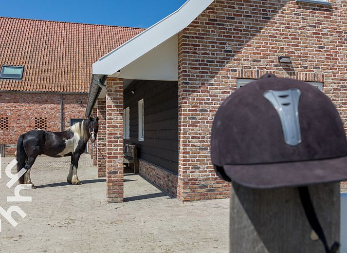 Gezellige woonkamer in vakantiehuis ZE1445, Aagtekerke, Walcheren met comfortabele zithoek.