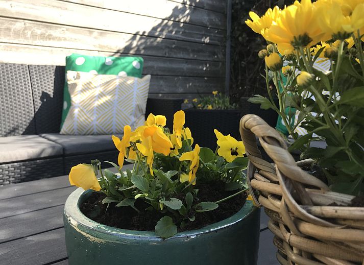 Verblijf 620612 - Vakantiewoning Walcheren - ZE1705