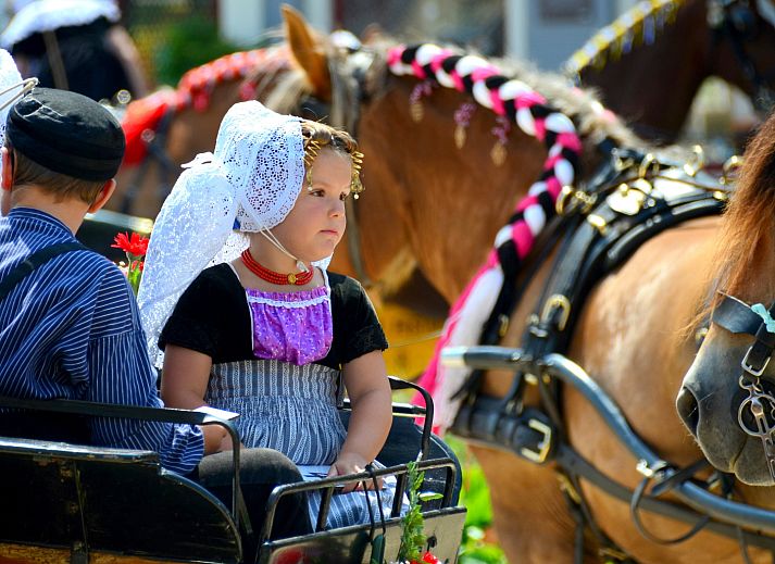 Charmantes Ferienhaus ZE555 in Aagtekerke, Walcheren mit Holzfassade und blauem Himmel.