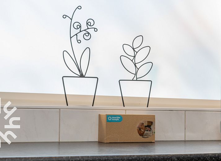 Veranda des Ferienhauses ZE1387 in Aagtekerke, Walcheren, mit gemuetlicher Sitzecke und Pflanzen.