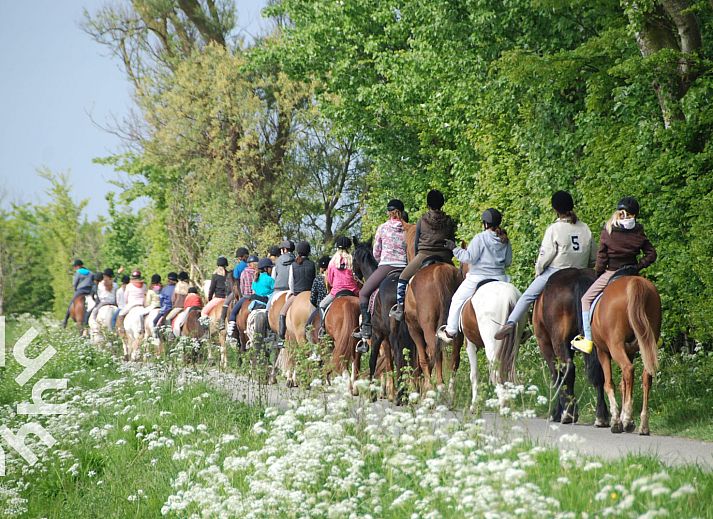I love Ponyhof-bord vlakbij vakantiehuis ZE1446 in Aagtekerke, Walcheren.