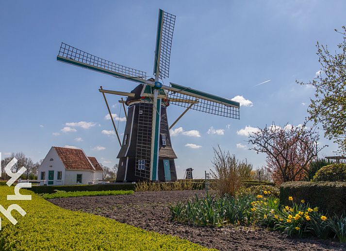 Gezellige woonkamer van vakantiehuis ZE1487 in Aagtekerke, Walcheren met comfortabele bank.