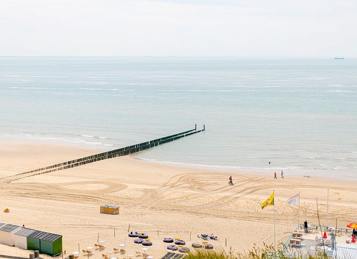 Stilvolles Esszimmer im Zeeotter Ferienhaus fuer 6 Personen, Zoutelande, Walcheren, Zeeland.