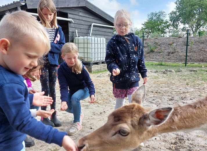 Grundriss von Zeeotter 6 Persoons Chalet, neu in 2025, Zoutelande, Walcheren, Zeeland.