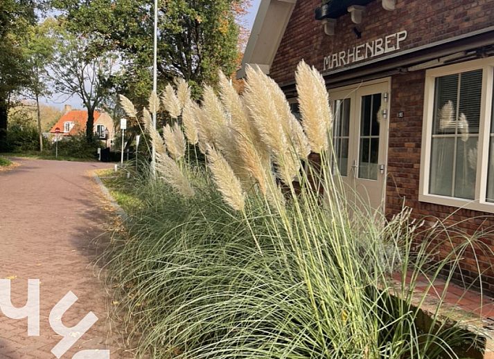 Cozy living room in vacation home ZE1541, Zoutelande, Walcheren, overlooking green nature through large windows.