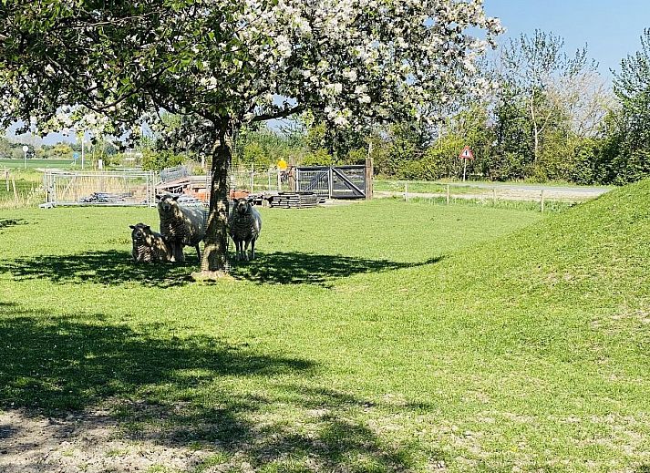 Gezellige zithoek in VZ178 Vakantiehuis Zoutelande, Walcheren, Zeeland.