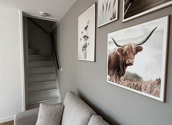 Geniessen Sie die Sonne auf der Terrasse von 't Zilten Huus, einem Ferienhaus im schoenen Zoutelande auf Walcheren, Zeeland.