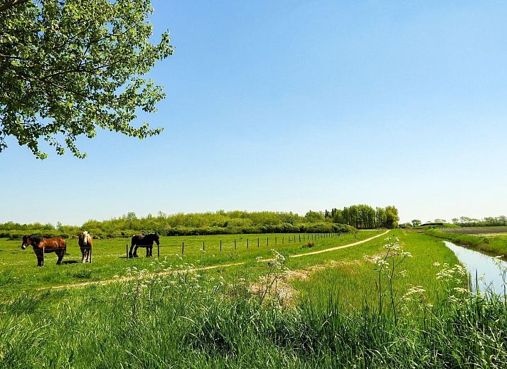 Moderne woonkamer en keuken in VZ110 Vakantiehuis Zoutelande, Walcheren, Zeeland.
