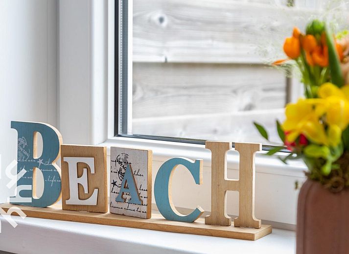 Ruim terras met bloemen bij vakantiehuis ZE1633 in Zoutelande, Walcheren, Zeeland.