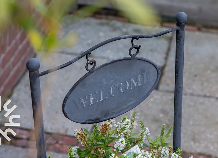 Ruim terras met bloemen bij vakantiehuis ZE1633 in Zoutelande, Walcheren, Zeeland.