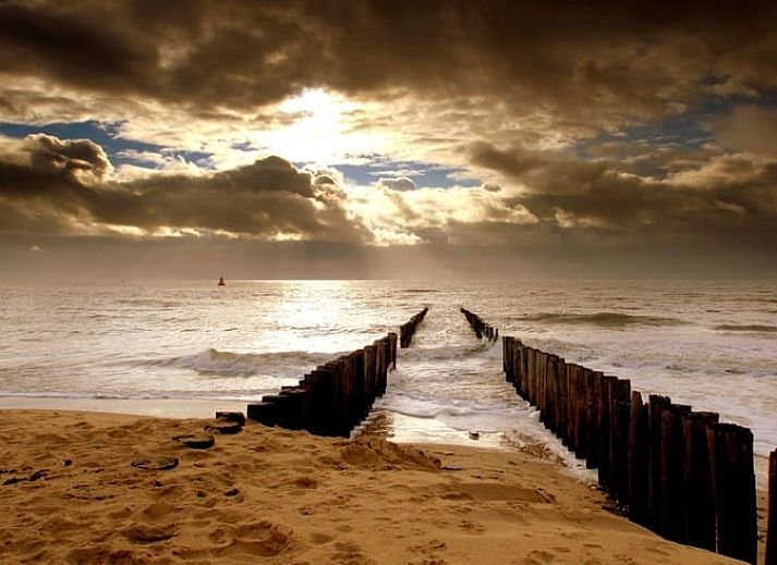 Ferienhaus in Zoutelande mit grossem Garten und Privatsphaere, inmitten der Natur in Walcheren, Zeeland.