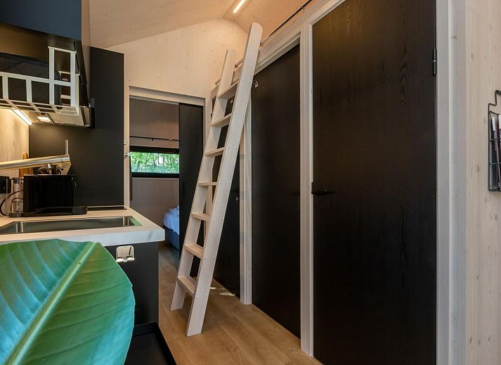 Guest house 620727 - Holiday property Walcheren - Vakantiehuis La Mouette