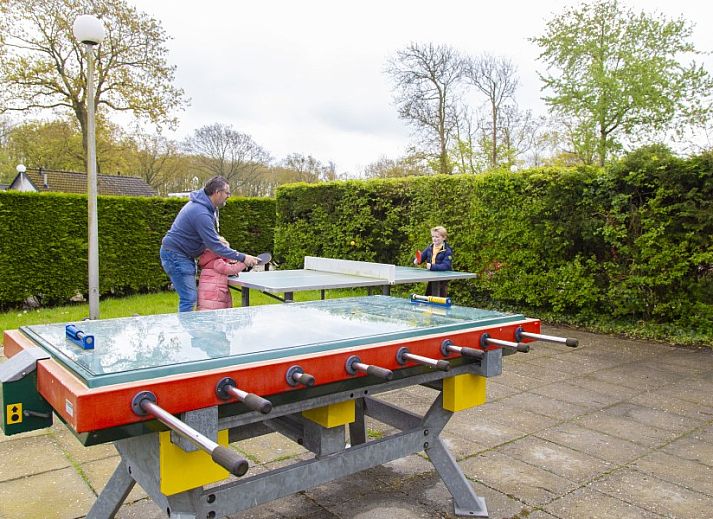 Unterkunft 620772 - Bungalow Walcheren - Bungalow Houtsnip