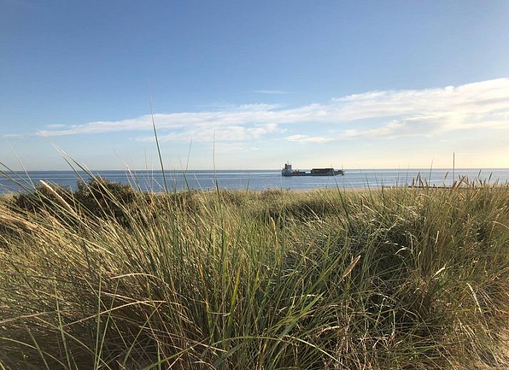 Unterkunft 620772 - Bungalow Walcheren - Bungalow Houtsnip