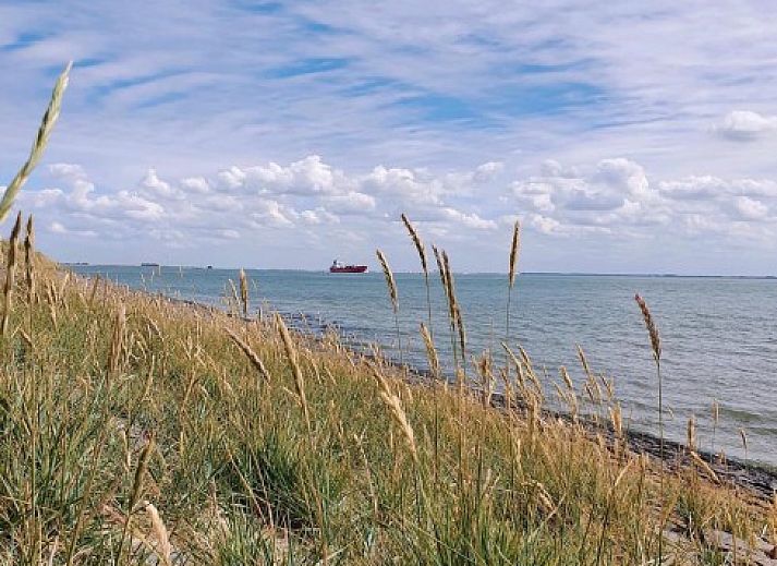 Unterkunft 620772 - Bungalow Walcheren - Bungalow Houtsnip