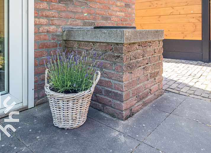 Guest house 620774 - Holiday property Walcheren - ZE179