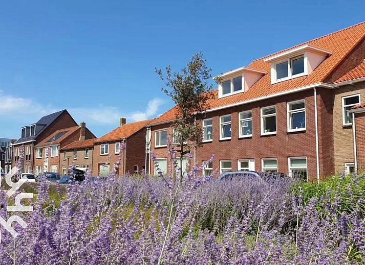 Unterkunft 620797 • Ferienhaus Walcheren • 4-persoons appartement middenin centrum van Zoutelande,
