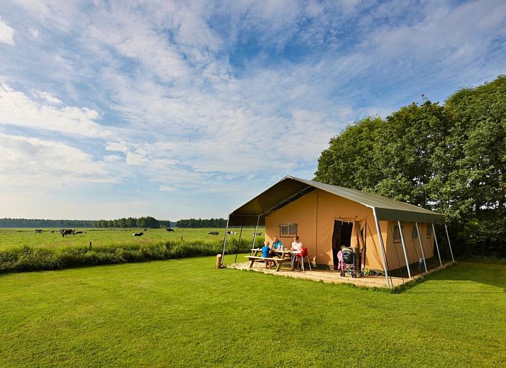 Guest house 620822 - Tent house Walcheren - Safaritent