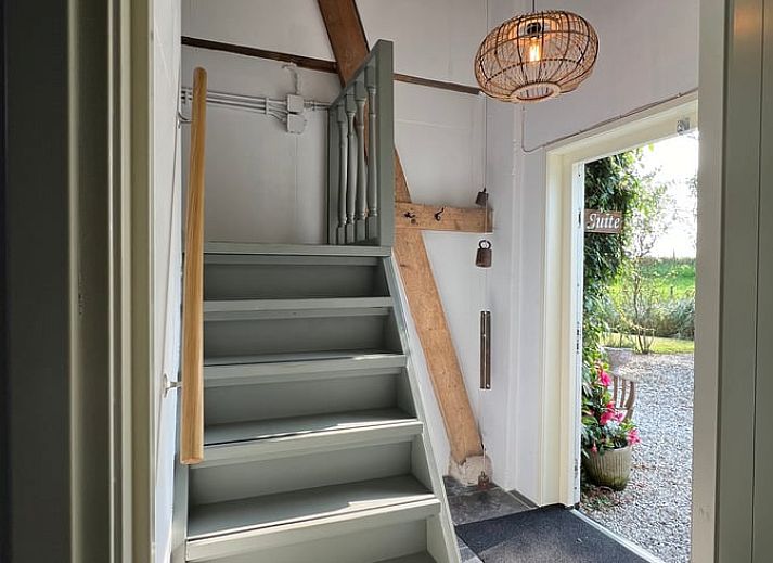 Charmant terras bij Vakantiehuis in Arnemuiden, Walcheren, Zeeland met groene klimop en houten stoelen.