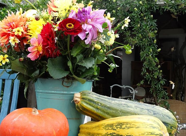 Lichte binnenruimte van Vakantiehuis in Arnemuiden, Walcheren, Zeeland met houten trap en zitgedeelte.