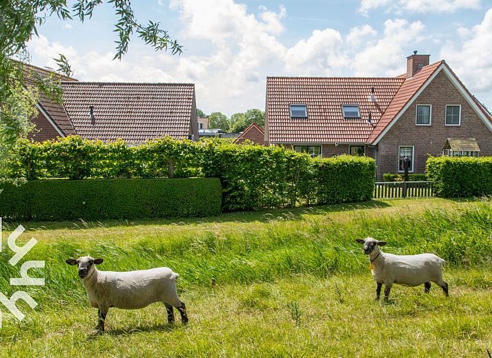 Komfortables Schlafzimmer mit zwei Betten im Ferienhaus ZE287, Vrouwenpolder, Walcheren.