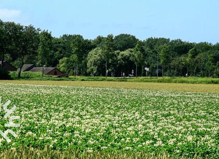 Private Terrasse des Ferienhauses ZE583 in Vrouwenpolder, Walcheren, ideal fuer Mahlzeiten im Freien an der frischen Luft Zeelands.