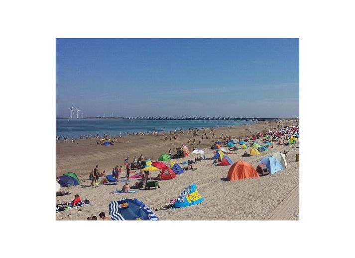 Verblijf 6209104 - Vakantiewoning Walcheren - 293577