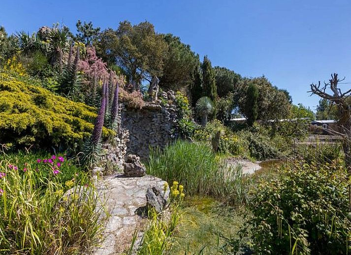 Verblijf 6209112 - Vakantiewoning Walcheren - Fort den Haak - Chalet 1 tm 15  hond