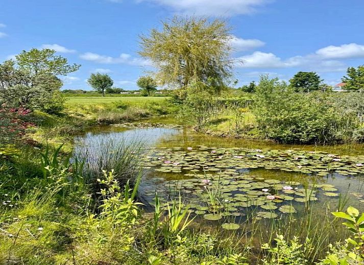 Guest house 6209115 - Holiday property Walcheren - Oranjezon app 4p