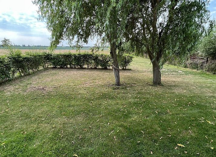 Hinterer Garten von VZ030 Chalet Vrouwenpolder, umgeben von Gruen in Walcheren, Zeeland