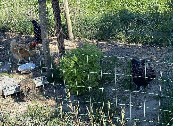 Moderne zithoek in VZ740 Vakantiewoning Vrouwenpolder, Walcheren, Zeeland.