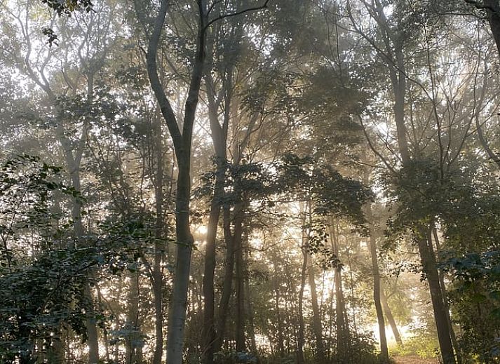 Prachtige zonsopgang over de velden bij Vakantiehuis in Vrouwenpolder, Walcheren, Zeeland.