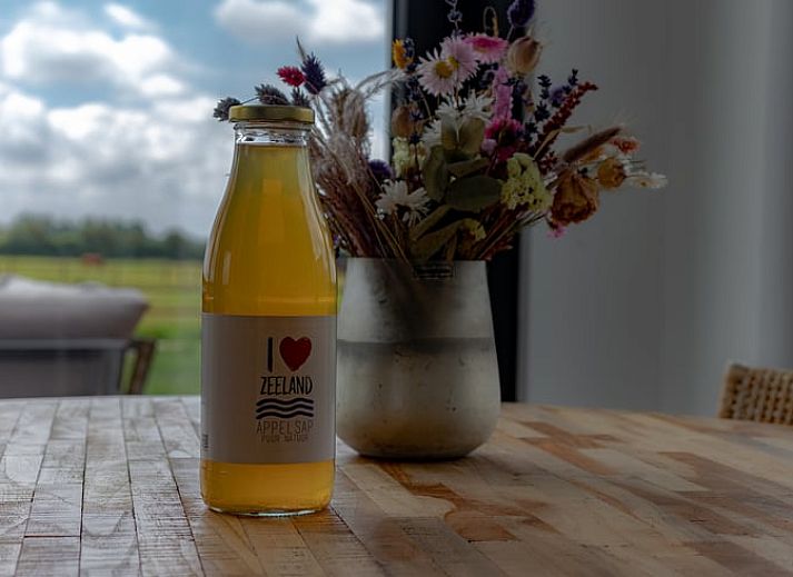 Ruim terras met zitgedeelte bij Vakantiehuis in Vrouwenpolder, Walcheren, Zeeland.