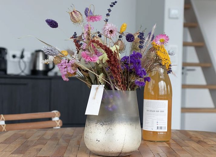 Ruim terras met zitgedeelte bij Vakantiehuis in Vrouwenpolder, Walcheren, Zeeland.