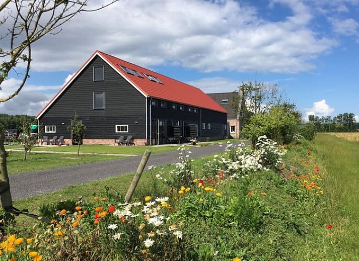 Modern kitchen in Holiday home in Vrouwenpolder, Walcheren, Zeeland with stylish decor.