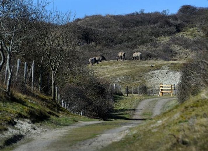 Cozy bedroom in Holiday home in Vrouwenpolder, Walcheren, Zeeland with comfortable beds.